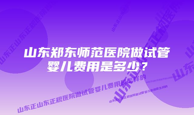 山东郑东师范医院做试管婴儿费用是多少？