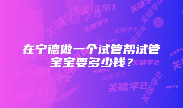 在宁德做一个试管帮试管宝宝要多少钱？