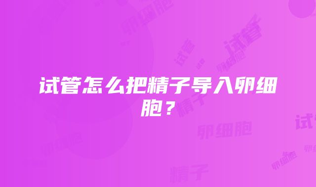 试管怎么把精子导入卵细胞？