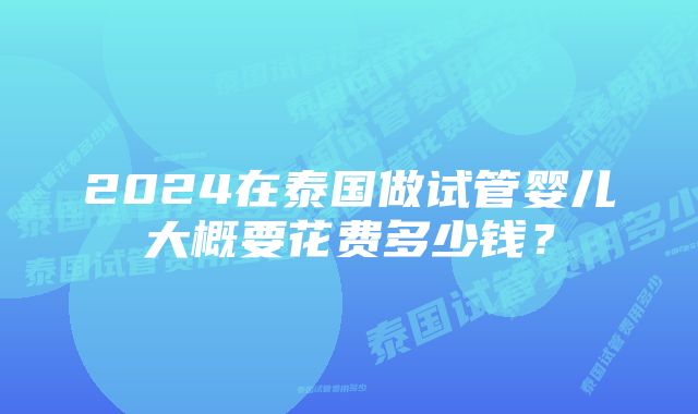 2024在泰国做试管婴儿大概要花费多少钱？