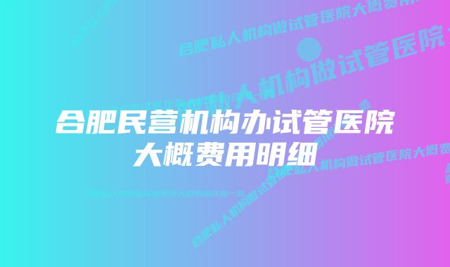 合肥民营机构办试管医院大概费用明细