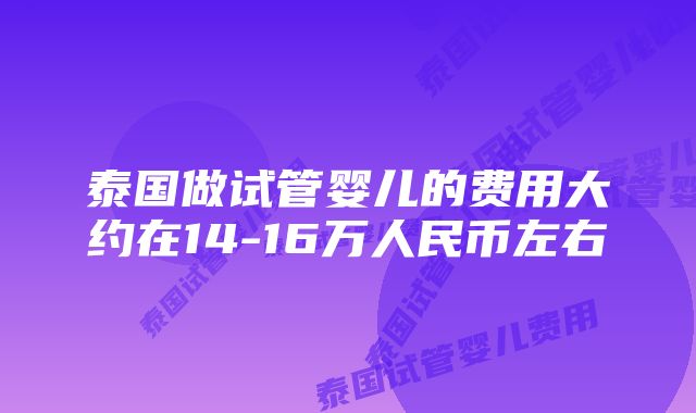 泰国做试管婴儿的费用大约在14-16万人民币左右