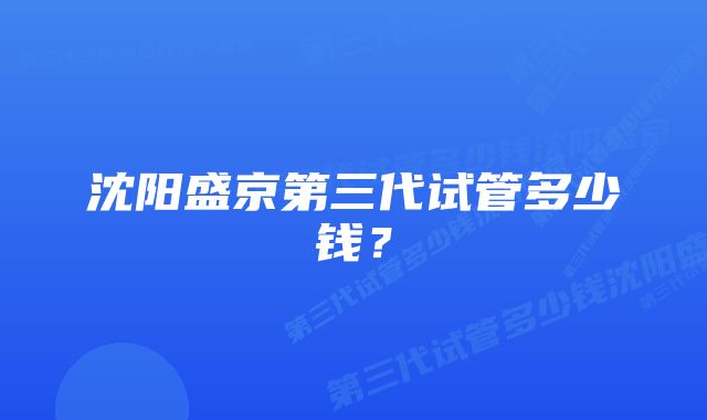 沈阳盛京第三代试管多少钱？