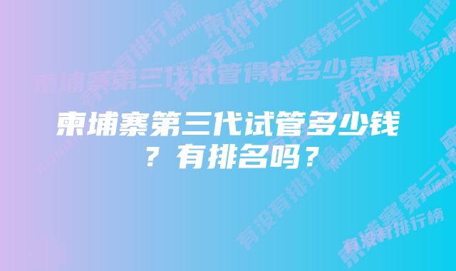 柬埔寨第三代试管多少钱？有排名吗？