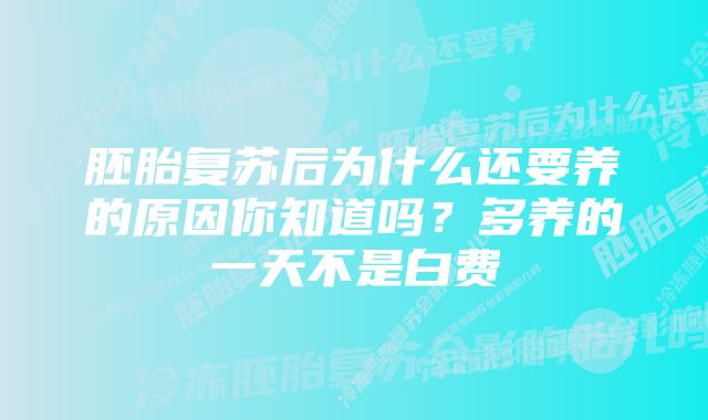 胚胎复苏后为什么还要养的原因你知道吗？多养的一天不是白费