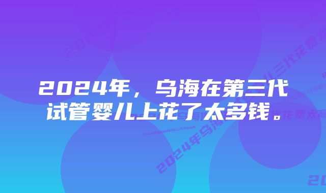 2024年，乌海在第三代试管婴儿上花了太多钱。