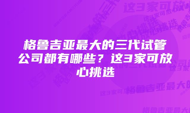 格鲁吉亚最大的三代试管公司都有哪些？这3家可放心挑选