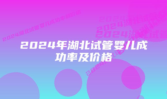 2024年湖北试管婴儿成功率及价格