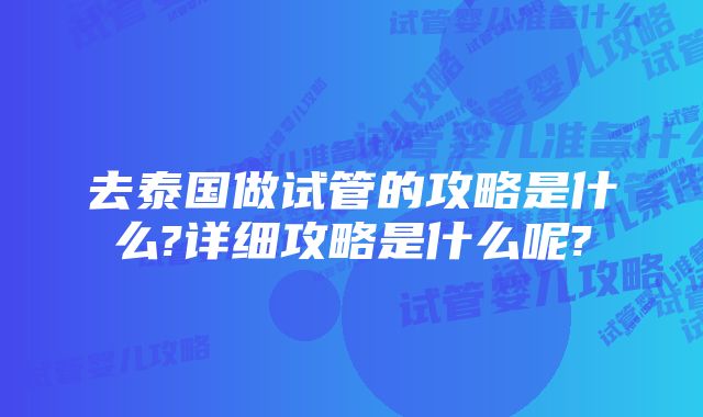 去泰国做试管的攻略是什么?详细攻略是什么呢?