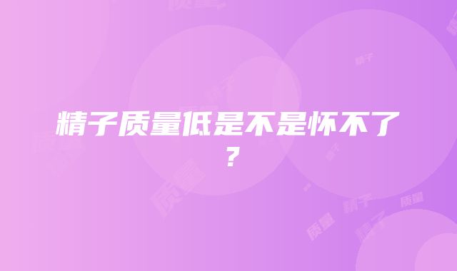 精子质量低是不是怀不了？