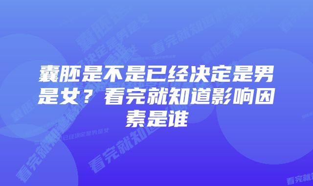 囊胚是不是已经决定是男是女？看完就知道影响因素是谁