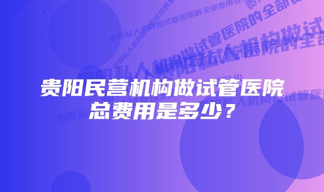 贵阳民营机构做试管医院总费用是多少？