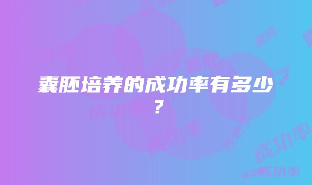 囊胚培养的成功率有多少？