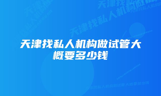 天津找私人机构做试管大概要多少钱