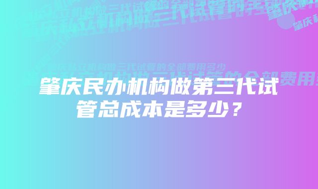 肇庆民办机构做第三代试管总成本是多少？