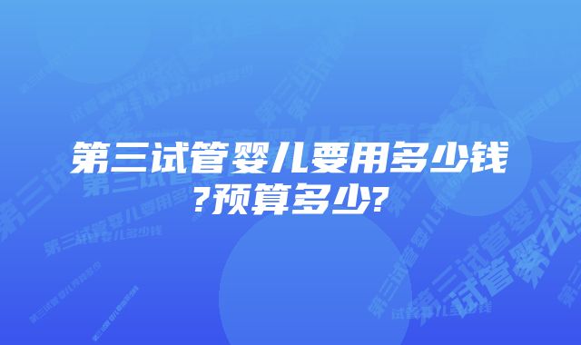 第三试管婴儿要用多少钱?预算多少?