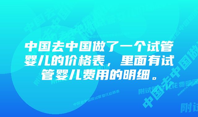 中国去中国做了一个试管婴儿的价格表，里面有试管婴儿费用的明细。