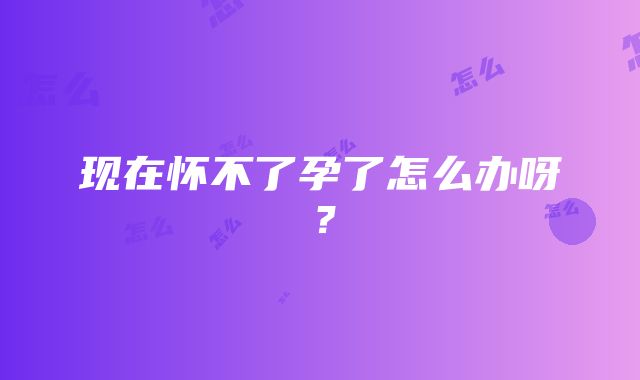 现在怀不了孕了怎么办呀？