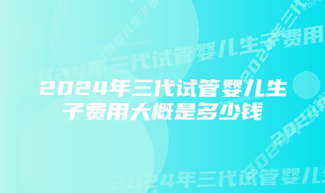 2024年三代试管婴儿生子费用大概是多少钱