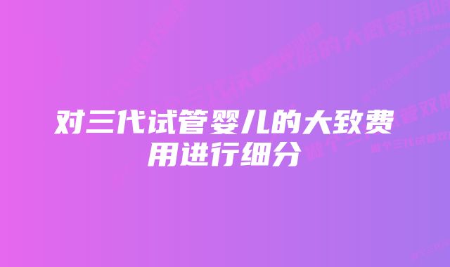 对三代试管婴儿的大致费用进行细分