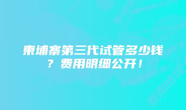 柬埔寨第三代试管多少钱？费用明细公开！