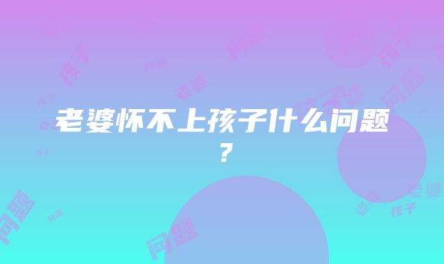 老婆怀不上孩子什么问题？