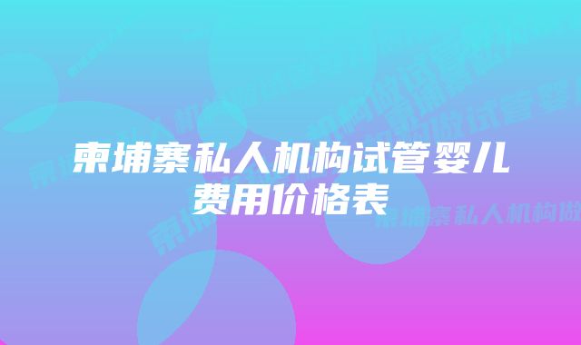 柬埔寨私人机构试管婴儿费用价格表