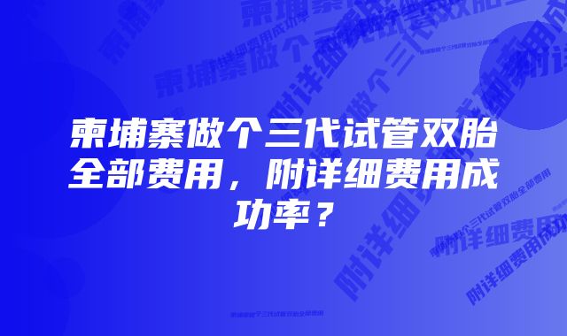 柬埔寨做个三代试管双胎全部费用，附详细费用成功率？