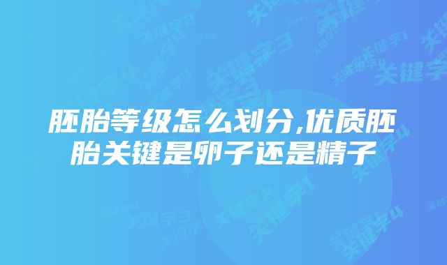 胚胎等级怎么划分,优质胚胎关键是卵子还是精子