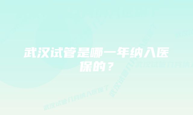 武汉试管是哪一年纳入医保的？