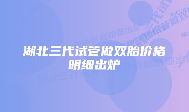 湖北三代试管做双胎价格明细出炉