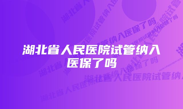 湖北省人民医院试管纳入医保了吗