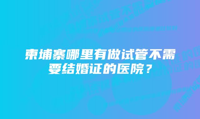 柬埔寨哪里有做试管不需要结婚证的医院？