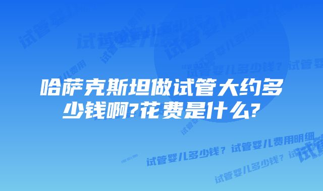 哈萨克斯坦做试管大约多少钱啊?花费是什么?