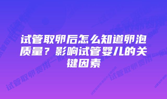 试管取卵后怎么知道卵泡质量？影响试管婴儿的关键因素