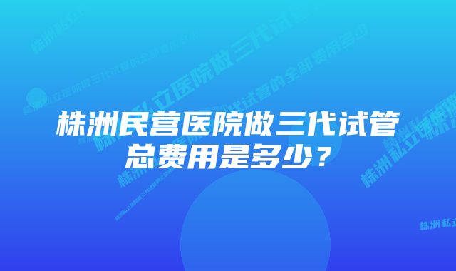 株洲民营医院做三代试管总费用是多少？