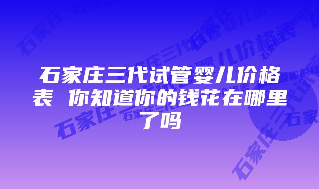 石家庄三代试管婴儿价格表 你知道你的钱花在哪里了吗