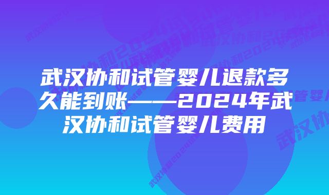 武汉协和试管婴儿退款多久能到账——2024年武汉协和试管婴儿费用