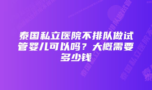 泰国私立医院不排队做试管婴儿可以吗？大概需要多少钱