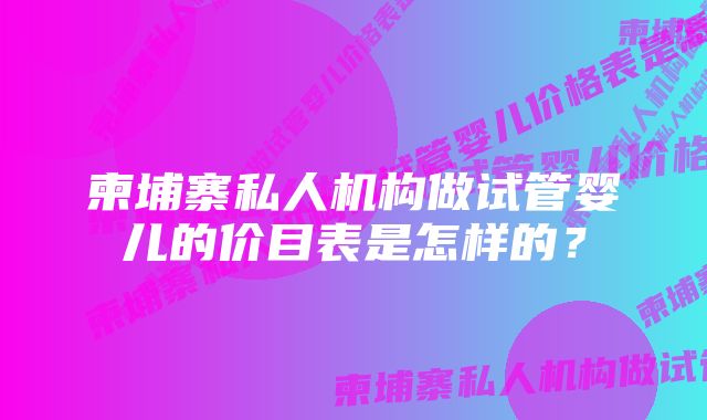 柬埔寨私人机构做试管婴儿的价目表是怎样的？