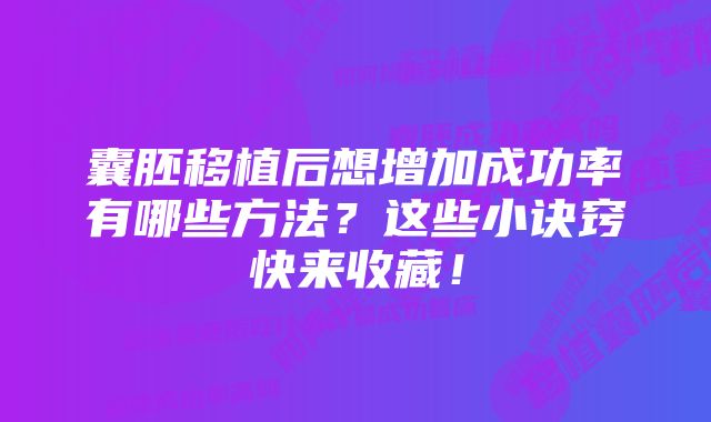 囊胚移植后想增加成功率有哪些方法？这些小诀窍快来收藏！