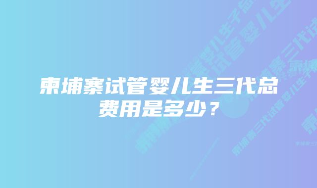 柬埔寨试管婴儿生三代总费用是多少？