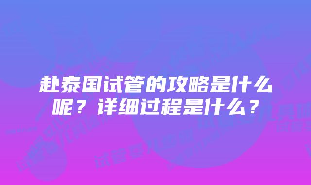 赴泰国试管的攻略是什么呢？详细过程是什么？