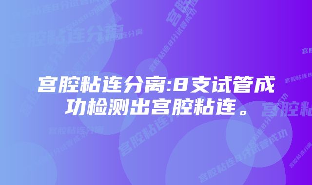 宫腔粘连分离:8支试管成功检测出宫腔粘连。