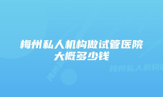 梅州私人机构做试管医院大概多少钱