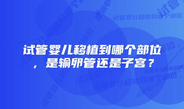 试管婴儿移植到哪个部位，是输卵管还是子宫？