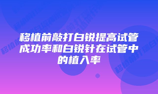 移植前敲打白锐提高试管成功率和白锐针在试管中的植入率