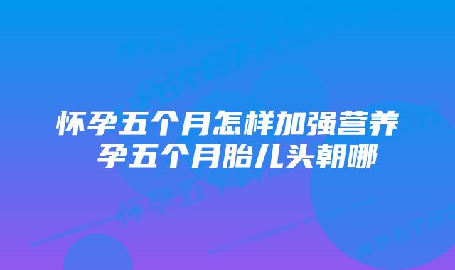 怀孕五个月怎样加强营养 孕五个月胎儿头朝哪