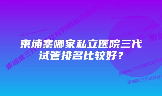 柬埔寨哪家私立医院三代试管排名比较好？