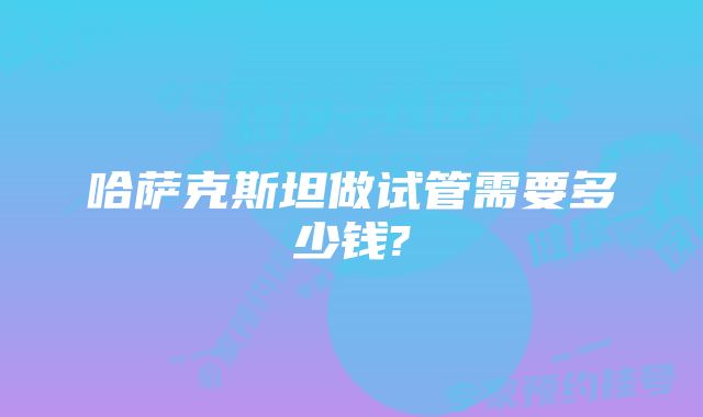 哈萨克斯坦做试管需要多少钱?